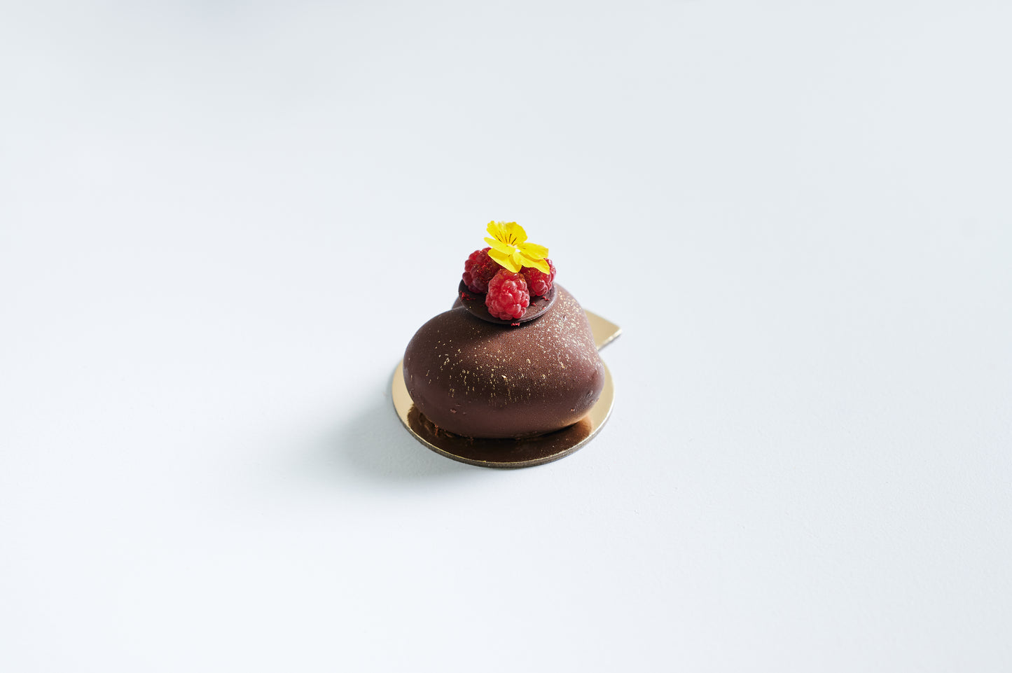 Dark Chocolate & Berry Compote